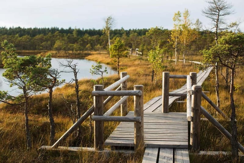 From Riga: Kemeri National Park and Kuldiga Tour - Two Latvian highlights in one eight-hour day