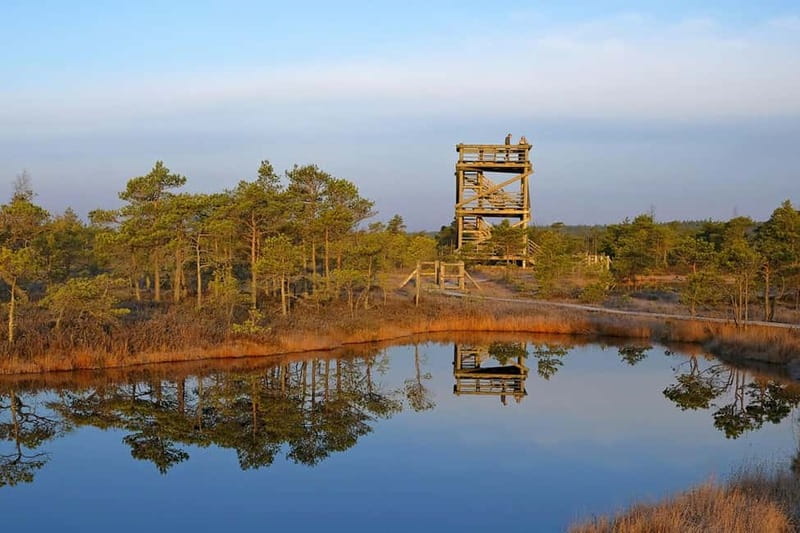 From Riga: Kemeri National Park and Kuldiga Tour - Starting at Bauskas iela 8