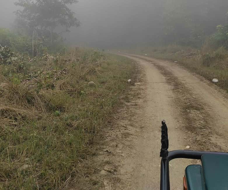From Rishikesh: Rajaji National Park Half-Day Tour - Should you book it?