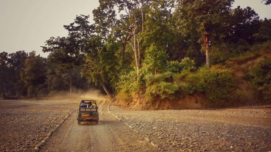 From Rishikesh: Rajaji National Park Half-Day Tour - Clothing, luggage, and small practical details