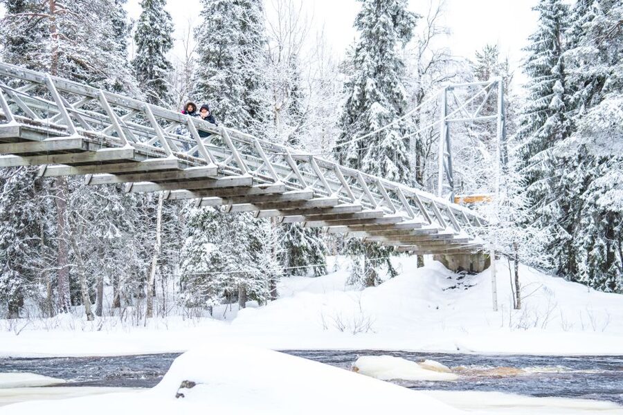 From Rovaniemi: Private Photoshoot in the Lappish Wilderness - The photographer makes the difference