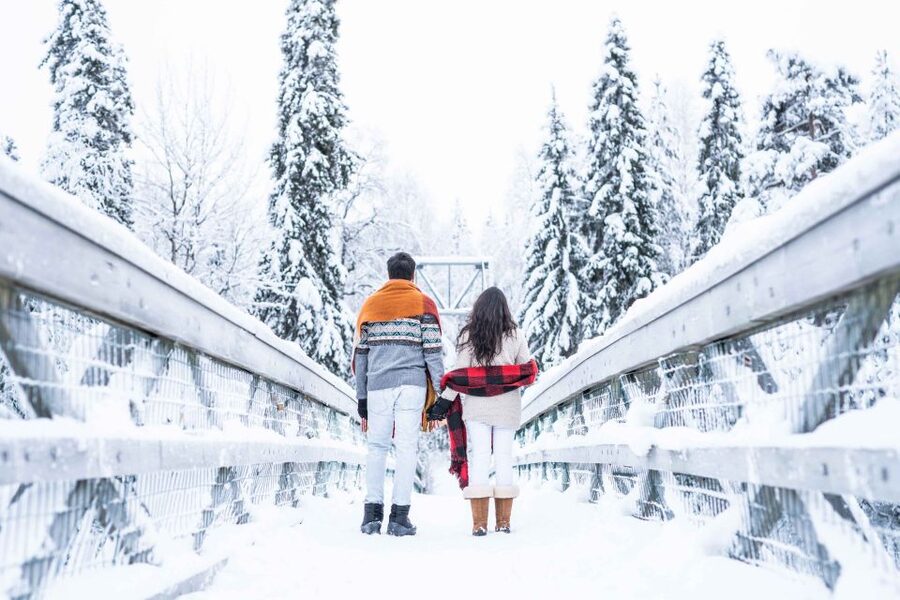 From Rovaniemi: Private Photoshoot in the Lappish Wilderness - Getting your photos after the shoot