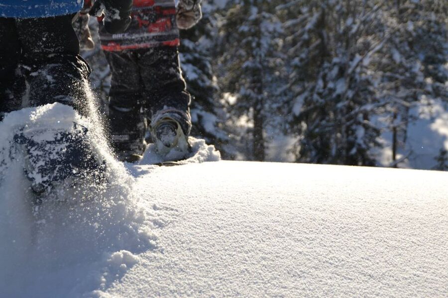 From Ruka: Snowshoeing in Oulanka National Park - Looking for dippers and otters in winter