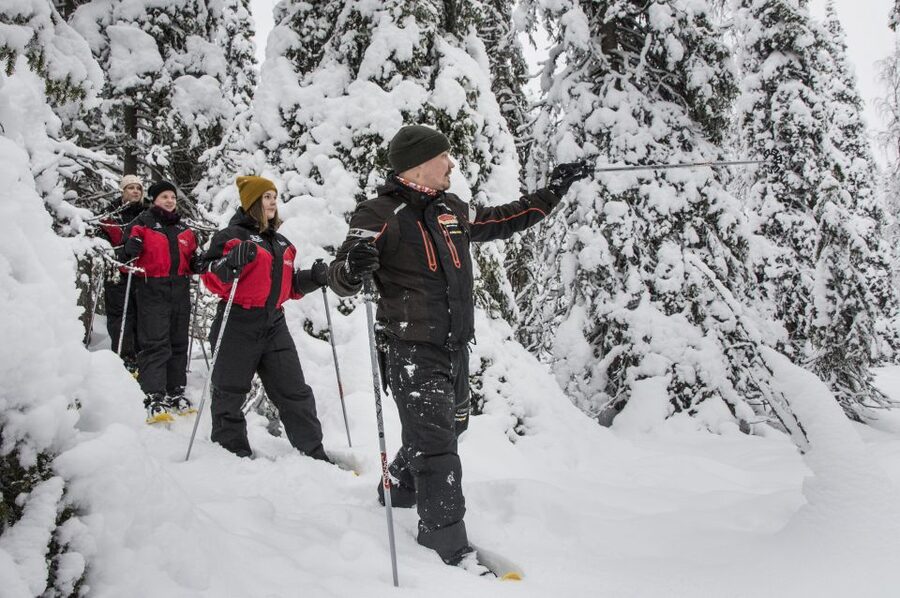 From Ruka: Snowshoeing in Oulanka National Park - Who should book this snowshoe tour?