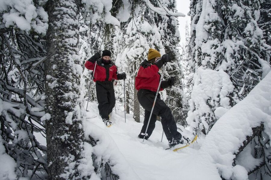 From Ruka: Snowshoeing in Oulanka National Park - Myllykoski mill, the trip’s most memorable stop