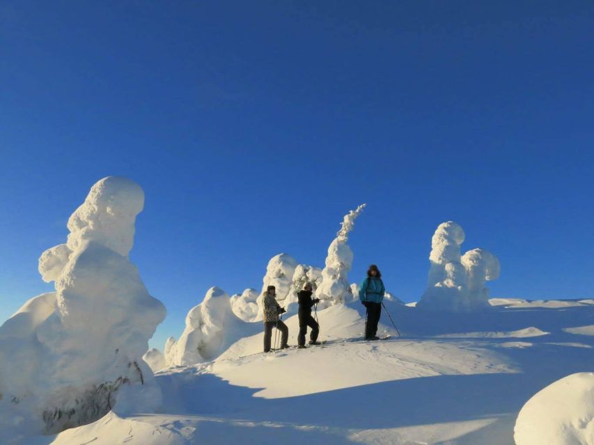 From Ruka: Snowshoeing in Riisitunturi National park - Why Riisitunturi Is Worth the Trip From Ruka