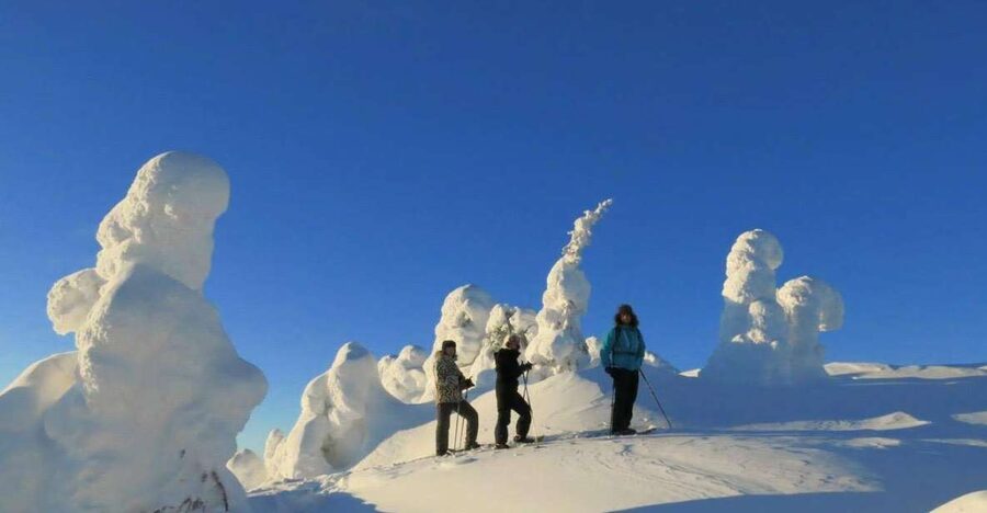 From Ruka: Snowshoeing in Riisitunturi National park - Getting Ready at Ruka Safaris