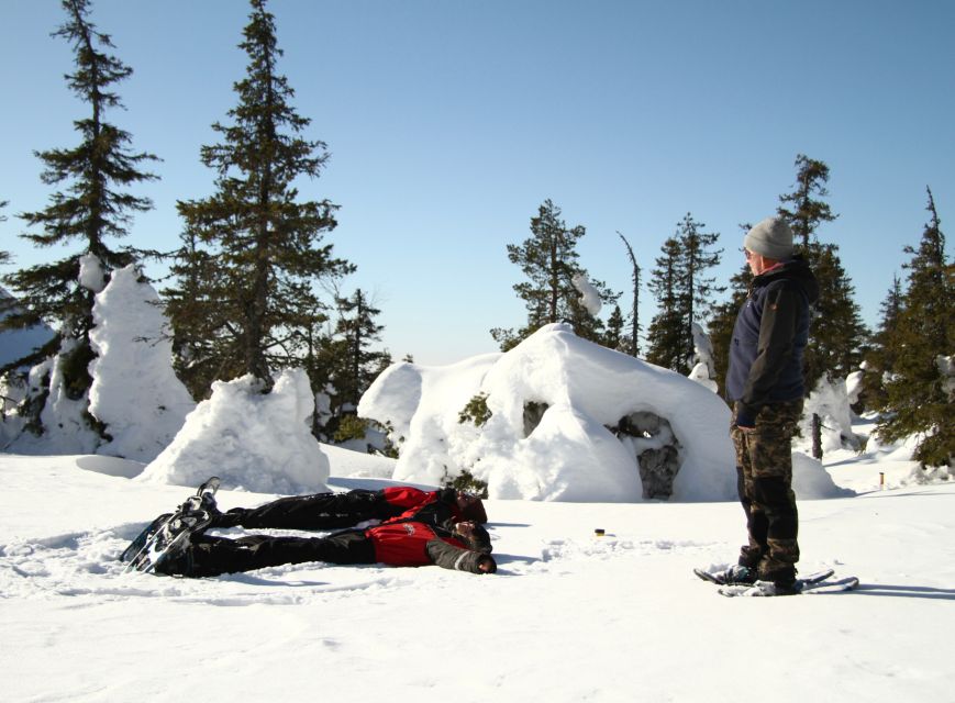 From Ruka: Snowshoeing in Riisitunturi National park - The Climb to Fell Views and Kitkajärvi