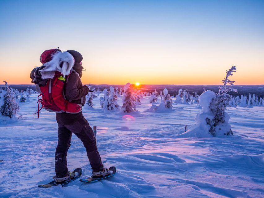 From Ruka: Snowshoeing in Riisitunturi National park - What the Guide Adds