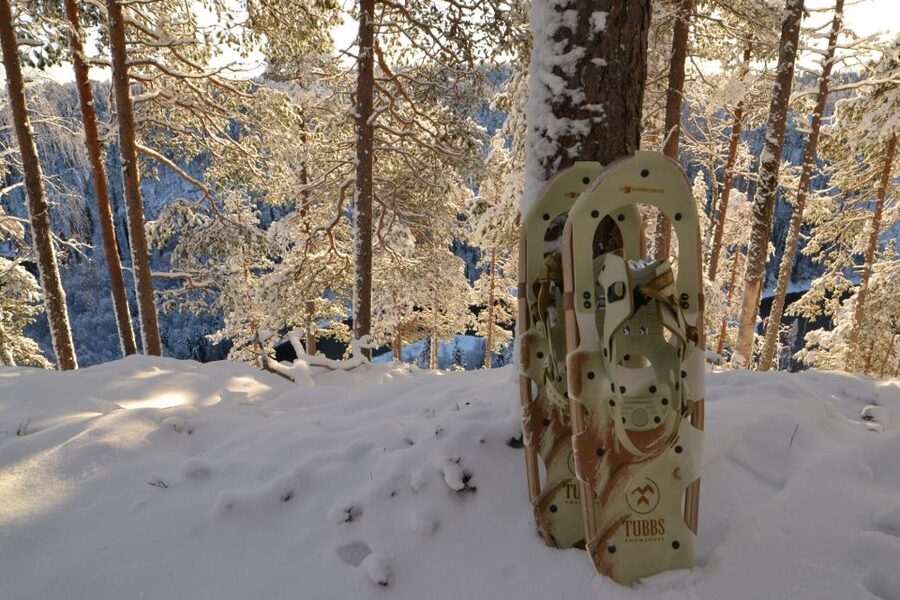 From Ruka: Snowshoeing in Riisitunturi National park - Snowshoes Through the Forest
