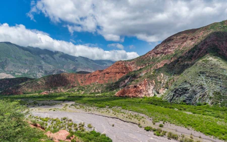 From Salta: Cachi and Los Cardones National Park Tour - Key points to know before booking