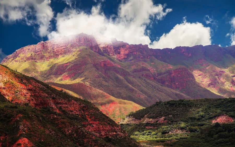 From Salta: Cachi and Los Cardones National Park Tour - Price, language, and practical value