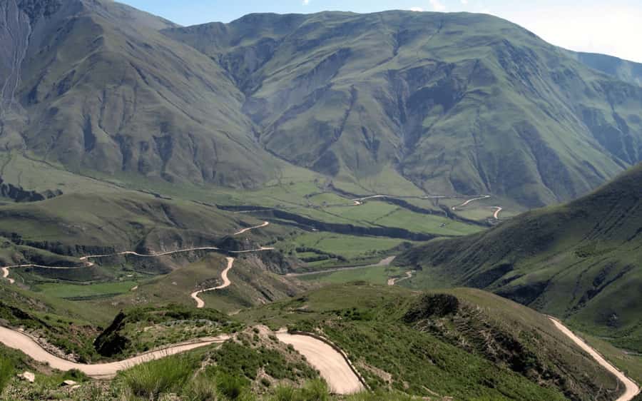 From Salta: Cachi and Los Cardones National Park Tour - Los Cardones National Park and its sea of cacti