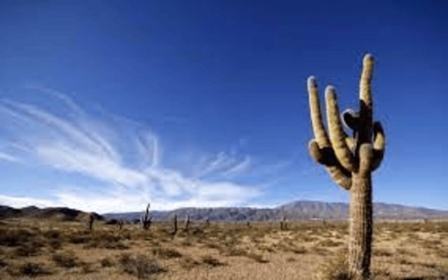 From Salta: Cachi and Los Cardones National Park Tour - Payogasta and the approach to Cachi