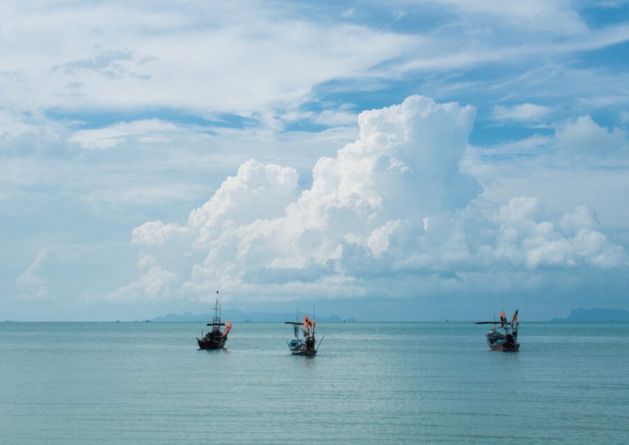 From Samui: Angthong National Park Snorkeling & Kayaking - Snorkeling in the national marine park