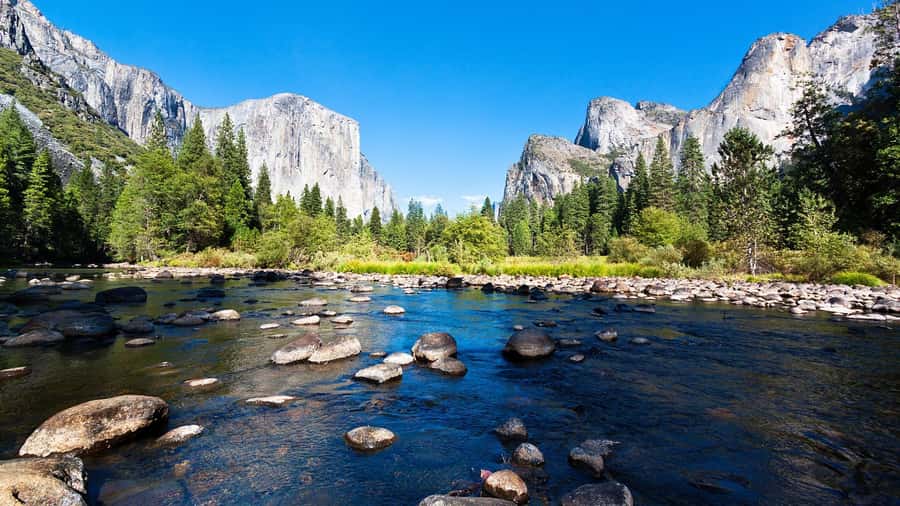 From San Francisco: Yosemite National Park Guided Day Trip - A long road to granite country