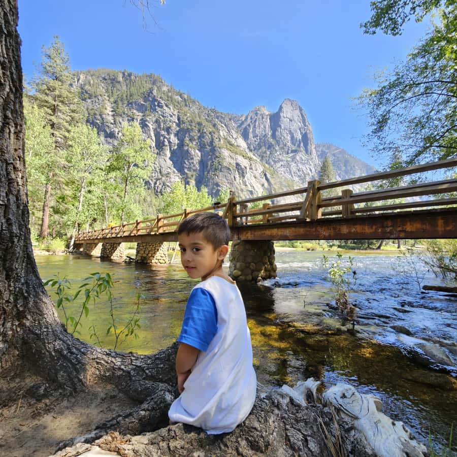 From San Francisco: Yosemite National Park Guided Day Trip - El Capitan, Half Dome, and Sentinel Dome