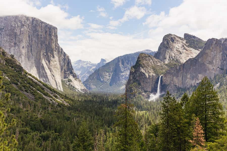 From San Francisco: Yosemite National Park Guided Day Trip - What the coach is really like