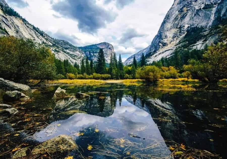 From San Jose:Enchanted Full Day Yosemite National Park Tour - What the small group changes