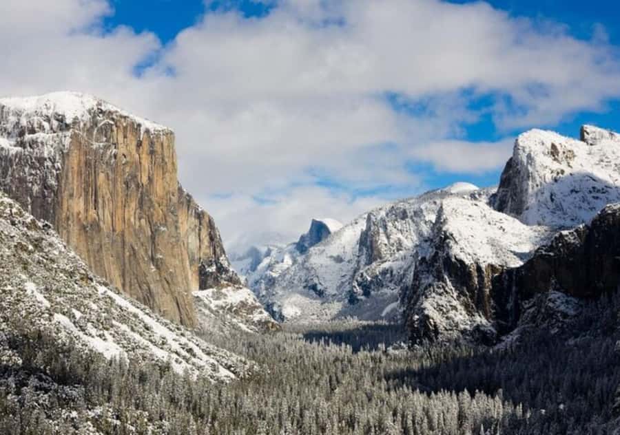From San Jose:Enchanted Full Day Yosemite National Park Tour - Is $385 a fair price?