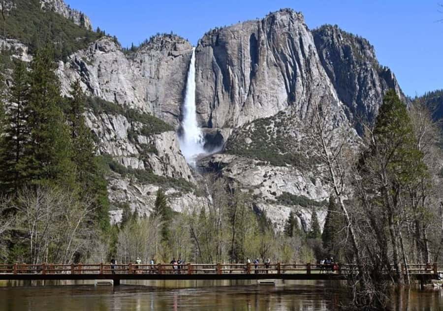 From San Jose:Enchanted Full Day Yosemite National Park Tour - Practical advice for making the day work
