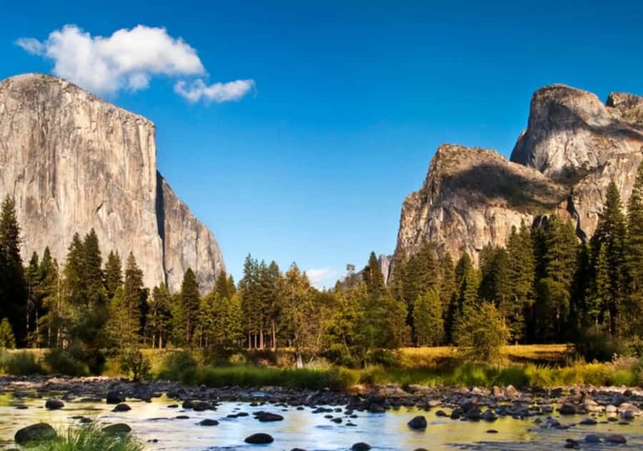 From San Jose:Enchanted Full Day Yosemite National Park Tour - Who should book this Yosemite tour?