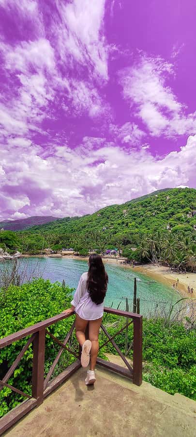 From Santa Marta: Tayrona National Park Guided Tour - Who Should Book This Tayrona Tour?