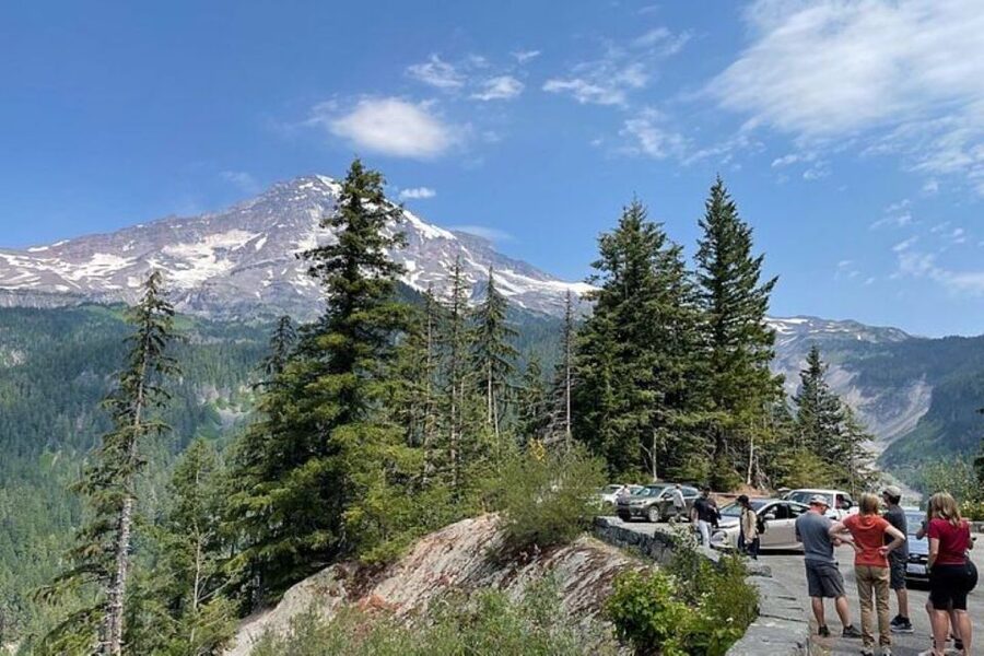 From Seattle: Full-Day Mt Rainier National Park Tour - Narada Falls, a 45-minute stop with real force