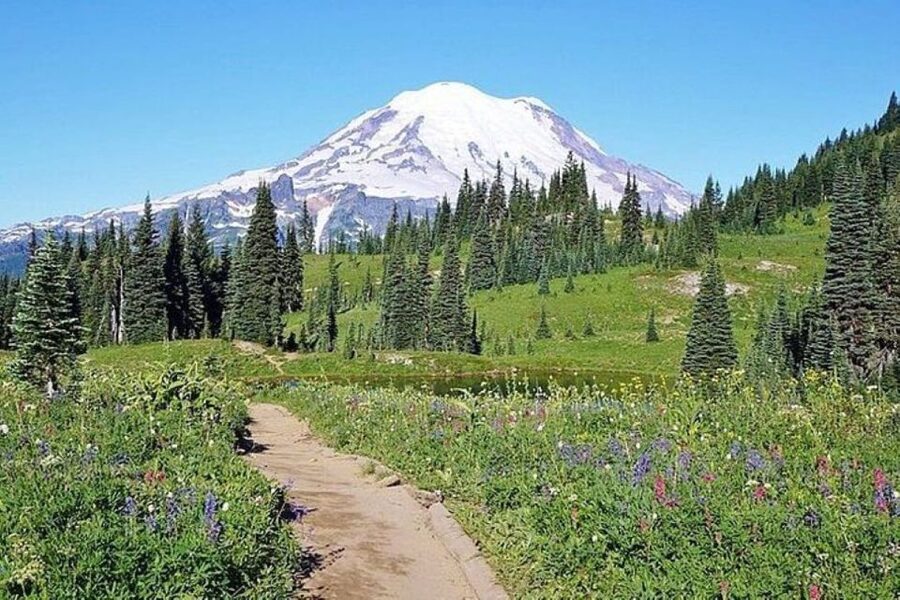 From Seattle: Full-Day Mt Rainier National Park Tour - Paradise and the park’s famous mountain views