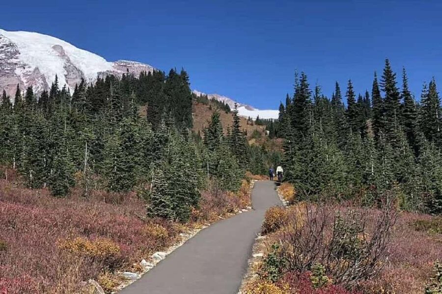 From Seattle: Mount Rainier National Park 1-Day Tour - Winter is not just a shorter summer tour