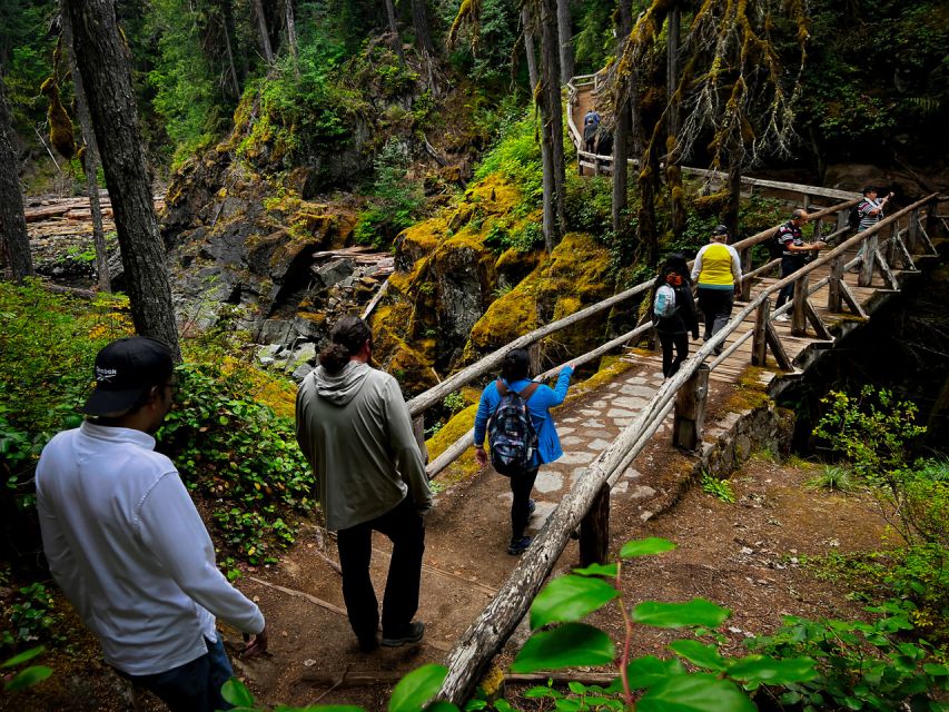 From Seattle: Mount Rainier National Park Guided Tour - Why this Seattle to Rainier day trip works