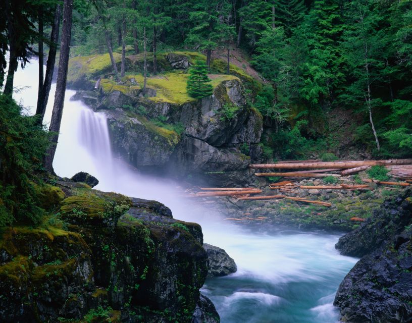From Seattle: Mount Rainier National Park Guided Tour - Visitor Center time and what you learn