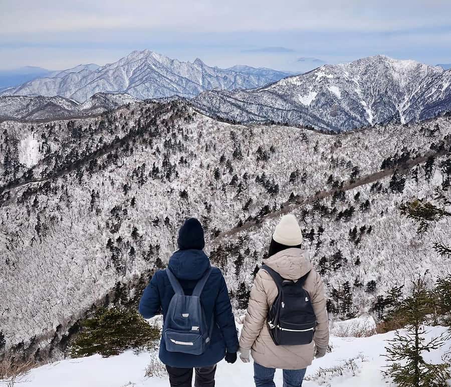 From Seoul: Seoraksan National Park and Nami Island Day Trip - Two very different stops in one Gangwon Province day