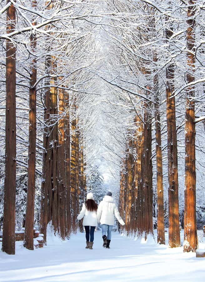 From Seoul: Seoraksan National Park and Nami Island Day Trip - Starting from Seoul without hotel pickup