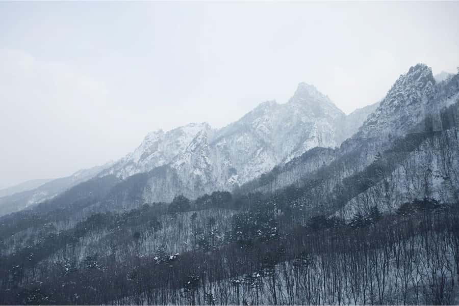 From Seoul: Seoraksan National Park and Nami Island Day Trip - The cable car adds views without demanding a full hike