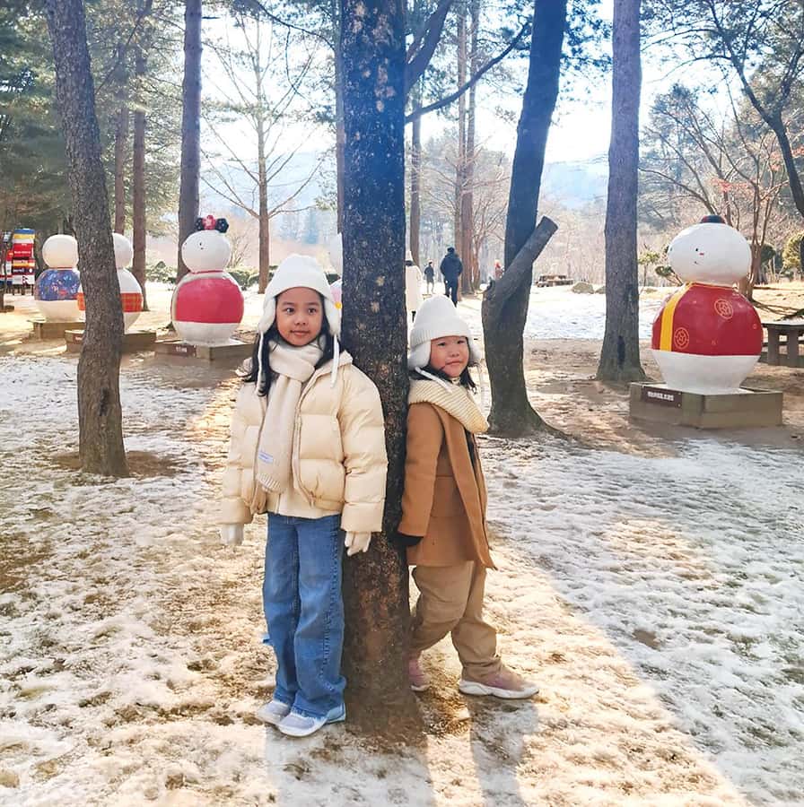 From Seoul: Seoraksan National Park and Nami Island Day Trip - Nami Island brings a quieter afternoon