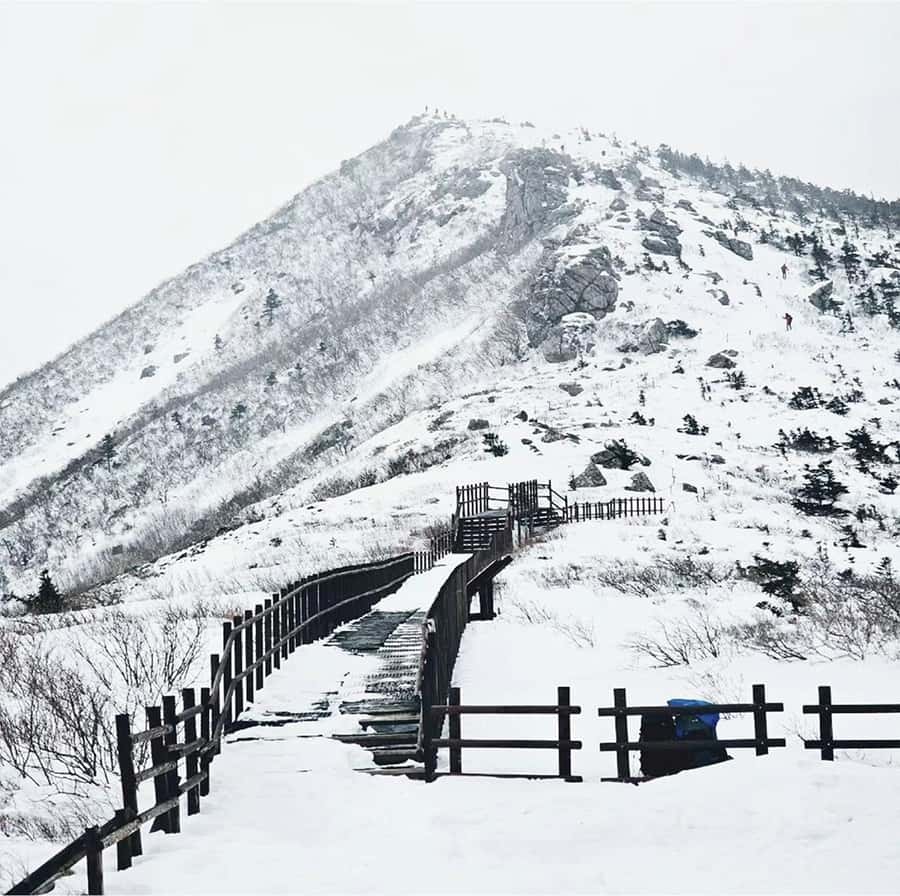 From Seoul: Seoraksan National Park and Nami Island Day Trip - What the $71 price really covers