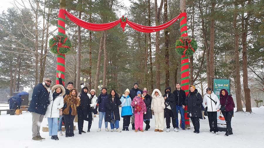 From Seoul: Seoraksan National Park and Nami Island Day Trip - Should you book this Seoraksan and Nami Island trip?