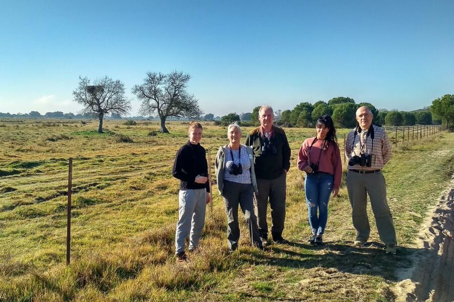 From Seville: Doñana National Park Day Trip - What the vehicle day feels like