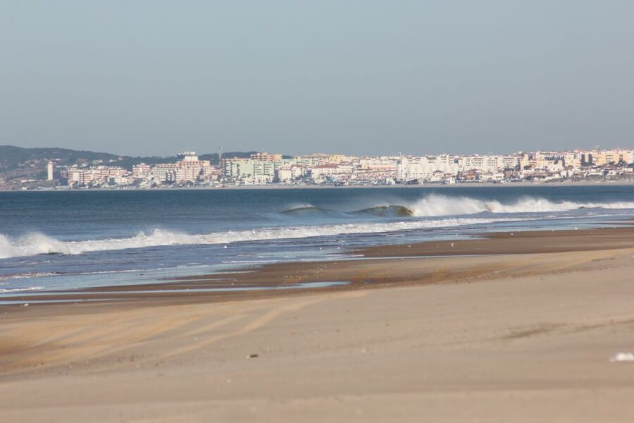 From Seville: Doñana National Park Full-Day Private Tour - Four hours by 4WD inside Doñana