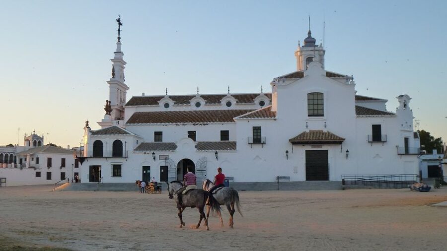 From Seville: Doñana National Park Full-Day Private Tour - Who will enjoy this day most