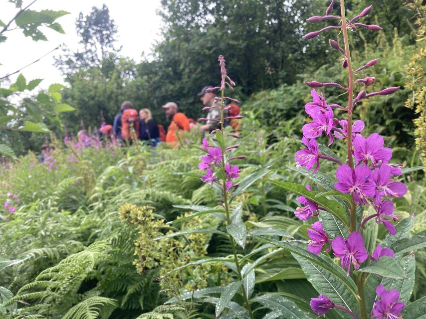 From Seward: 6-hour Wilderness Hiking Tour - The value of the $342 price