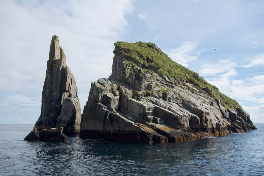 From Seward: Kenai Fjords National Park Cruise with Lunch - Why Two Tidewater Glaciers Make This Route Special