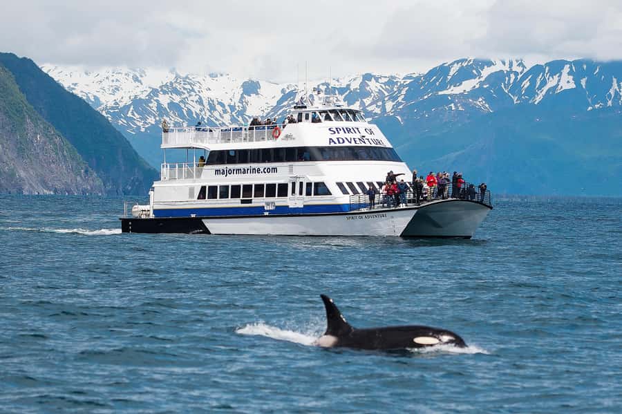 From Seward: Kenai Fjords National Park Cruise with Lunch - What the Catamaran Is Like for a Long Day