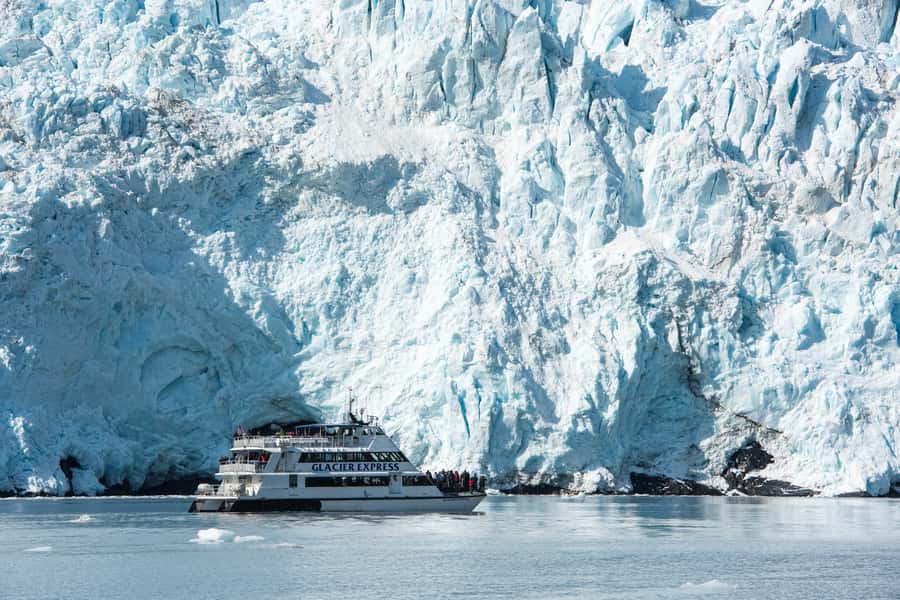 From Seward: Kenai Fjords National Park Cruise with Lunch - Wildlife Watching With Time to Search