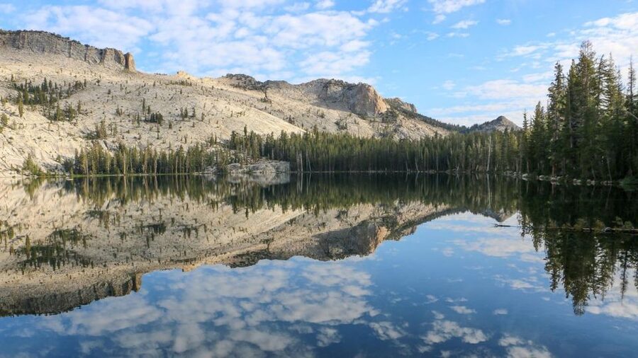 From SFO-Yosemite National Park-Enchanting Full Day Tour - From San Francisco towers to Sierra foothills