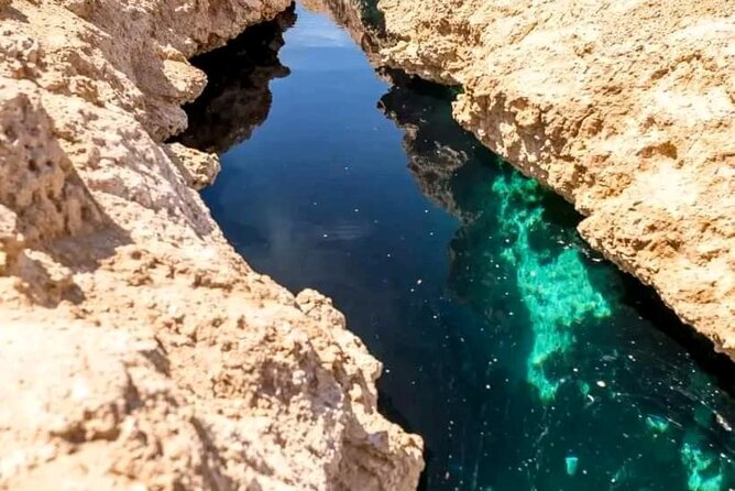 From Sharm: Ras Mohamed National Park and Magic Lake Day Tour - The Red Sea reef and the main snorkeling stop