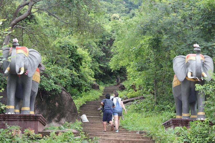 From Siem Reap: Phnom Kulen National Park Trekking Tour - Walking through Phnom Kulen’s rainforest