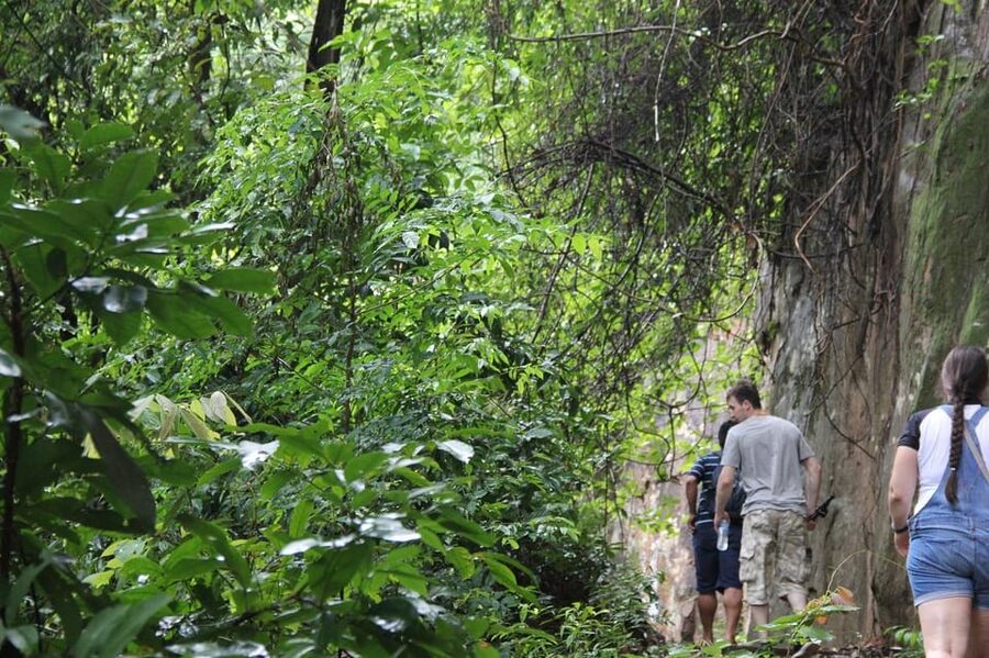 From Siem Reap: Phnom Kulen National Park Trekking Tour - What the guide and group size add
