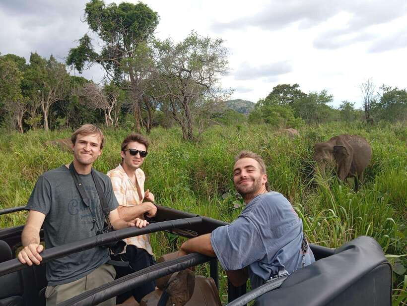 From Sigiriya: Minneriya National Park Half-Day Jeep Safari - Three hours among grassland, wetland, and water
